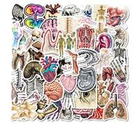 50 Pcs Creative Brain Stickers for Laptop Water Bottles,Bicycle,Skateboard,Computer,Organ Brain Nordic Style Stickers Waterproof Vinyl for Wall,Graffiti Stickers for Girls Boys Children Teens