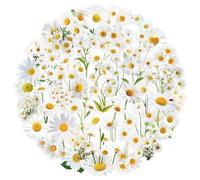 50 PCS Daisy Stickers,Daisy Sticker Pack Transparent Vinyl Skateboard Guitar Door Laptop Luggage Car Bike Water Bottle Birthday Party Supplies Teens Boys and Girls Decals