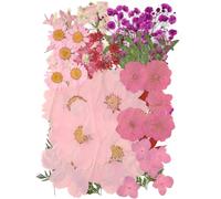 50 Pcs Dried Flowers for Resin,Real Dried Pressed Flowers Leaves Mixed Multiple Natural Kit for Christmas DIY Gift,Art Crafts,Candle, Soap Making, Nails Decor