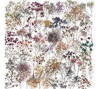 50 PCS Dried Flowers Stickers,Gypsophila Paniculata PET Sticker Pack Waterproof Vinyl for Skateboard Guitar Door Laptop Luggage Car Bike Water Bottle Birthday Party Supplies