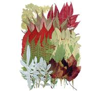 50 Pcs Dried Pressed Leaves Flowers Real Natural Dried Leaves Plant Kit Assorted Dried Greenery for Bookmarks Scrapbooking Resin Art Candle Soap Making Autumn Colors, Style 7