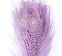 50 Pcs Dyed Peacock Feathers 25-30cm Natural Plumes for Wedding Centerpiece DIY Crafts