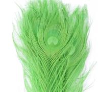 50 Pcs Dyed Peacock Feathers 25-30cm Natural Plumes for Wedding Centerpiece DIY Crafts