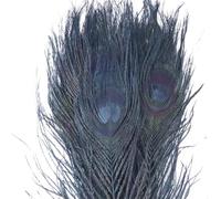 50 Pcs Dyed Peacock Feathers 25-30cm Natural Plumes for Wedding Centerpiece DIY Crafts