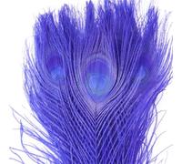 50 Pcs Dyed Peacock Feathers 25-30cm Natural Plumes for Wedding Centerpiece DIY Crafts
