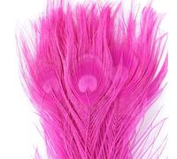50 Pcs Dyed Peacock Feathers 25-30cm Natural Plumes for Wedding Centerpiece DIY Crafts