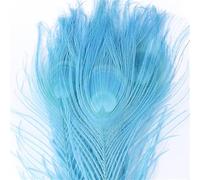 50 Pcs Dyed Peacock Feathers 25-30cm Natural Plumes for Wedding Centerpiece DIY Crafts
