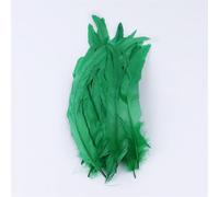 50 Pcs Fluffy Chicken Rooster Feathers Colored Tying for DIY Craft Carnival Wedding Decorat 25-30 Cm Grass EN8 50 Pcs