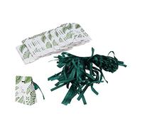 50 Pcs Green Favor Gift Box, Simple Foldable Candy Boxes for Wedding Party Favors, Eco - Friendly Paper Gift Bags with Ribbon for Birthday Baby Shower Holiday Decor