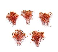 50 pcs Mini Dried Orange Baby Breath Flower Dried Flower for Crafts Press Flowers Wedding Wreath Decoration Gift Card Decor Floral