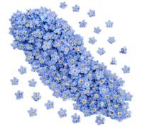 50 Pcs Natural Forget Me Not Dried Flowers, Pressed Flowers for Crafts