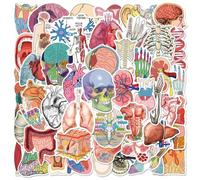 50 Pcs Organ Anatomy Diagram Stickers for Guitar,Water Bottles,Phone,Skateboard,Luggage,Cartoon Organ Cute Style Stickers Waterproof Vinyl,Graffiti Decorate for Teens Girls Children Motivate Gift