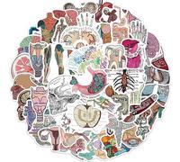 50 Pcs Organ Stickers for Kids Teens Adults Boys Girls Gift,Stickers Pack for Laptop,Skateboard,Luggage,Car,Bike, Cup,Computer,Water Bottle Decor,Organ Vinyl Waterproof Sticker Decals