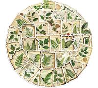 50 PCS Stickers for Green Plants,Botanical Stickers,Teens Boys and Girls Sticker Pack Vinyl Skateboard Guitar Door Laptop Luggage Car Bike Water Bottle Birthday Party Supplies Stickers