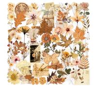 50 PCS Transparent Dried Flower Leaves Sticker for Adults Teens,Self-Adhesive Floral Sticker for Scrapbook Journal DIY Crafts Album Water Bottles Skateboard Phone Car Laptop Luggage Computer Bike