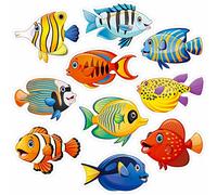 50 PCS Tropical Fish Cutouts, Double-sided Printing Fish Sea Animal Accents Cut-outs Bulletin Board Classroom Decoration in 10 Designs Ocean Themed Party Supplies for Kids Teacher Student