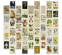 50 PCS Vintage Postcards Wall Collage Art Nature Animal Postcards 4x6 Double-Sided Printed Funny Postcards for DIY Decor Room, Plants Butterfly Assorted Postcards Set
