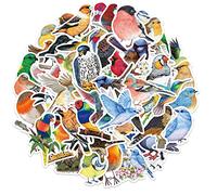 50 Pcs Watercolor Bird Stickers for Kids Teens Adults Boys Girls Gift,Stickers Pack for Laptop,Skateboard,Luggage,Car,Bike, Cup,Computer,Water Bottle Decor,Bird Vinyl Waterproof Sticker Decals