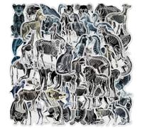 50-Piece Animal X-Ray Skeleton Sticker - Transparent Wildlife Animal Anatomy Stickers for Scrapbooking,Journaling,Educational Decor,Laptops,Water Bottles,Science Enthusiasts