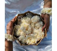 50 Piece Jasmine Scented Gajra for Hair Bun - Sangeet Haldi Mehndi Wedding Favors | Kalire Bracelets & Ganaas for Indian Weddings | Mehndi Mayoon Decor Accessories, Stylespeaks