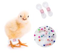 50 Pieces Baby Chick Splay Leg Hobble - Chicken Leg Bands for Spraddle Leg Repair (1-3 Days) - Suitable for Newly Hatched Chicks, Birds, Quails, and Ducks
