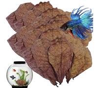 50 Pieces Betta Fish Leaves, Indian Almond Leaves, Aquarium Almond Leaves, Stealthy Environment for Shrimp Crabs Turtles and Betta Fishes to Balance PH Balance of The Water