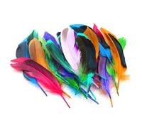 50 Pieces of Colorful Feathers, Feather Sticks, Feather Art Decoration, Natural Mixed Feathers, Handicrafts, Jewelry Accessories, DIY Craft Decoration