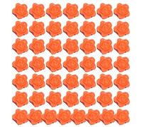50 Pieces Plant Climbing Wall Clips for Tomatoes Orchids and More Adhesive Strips Vine Hanging Hooks