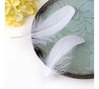 50 Pieces White Feathers for Crafts, Natural Goose Feathers Large Craft Feathers for DIY Handmade Crafts Gift Box Filling Ornament Decoration, 18-20cm