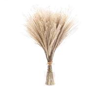50 Pieces White Natural Dried Pampas Grass Artificial 40cm Boho Home Decor Natural Phragmites Communis Dried Flowers for Vases White Bouquet Flower Phragmites Wedding Holiday Party Decor (50A)