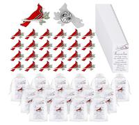 50 Set Funeral Favors - Cardinal Pin, Inspirational Poem Memorial Cards & Organza Gifts Bags, Celebration of Life Favors, Red Cardinal Gifts for Women and Men, Memorial Pins for Funeral Guests