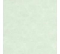 50 Sheets A4 Laguna Certificate Paper, 90gsm, 7 Colours to Choose from (Green)