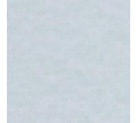 50 Sheets A4 Laguna Certificate Paper, 90gsm, 7 Colours to Choose from (Sky Blue)