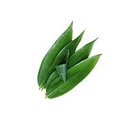 50 Sheets Large Fresh Uncultivated Vacuum Packed Bamboo Leaves，Natural Wild Bamboo Leaf Barbecue Sushi Sashimi Cuisine Decoration Zongzi Material