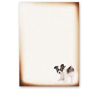 50 Sheets Motif Letter Paper! Animals Funny Puppy DIN A4 - Paper-Media