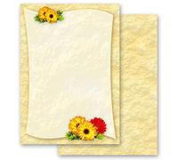 50 Sheets Motif Letter Paper! Flowers Motif Gerbera Flowers & Petals DIN A4 - Paper-Media