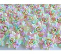 (50) Silk Rainbow Pastel Tones Roses Flower Head - 1.75" - Artificial Flowers Heads Fabric Floral Supplies Wholesale Lot for Wedding Flowers Accessories Make Bridal Hair Clips Headbands Dress
