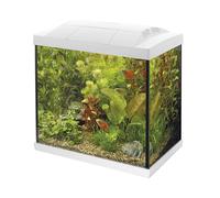 Superfish Start 50 Aquarium - White