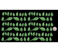 50 x Edible 3D Large Mixed Green Leaves Set 2 Flowers icing toppers, cake cupcakes decorations (Bespoke)