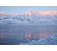 500(52x38cm) Piece Adult Jigsaw Puzzle, Polar Glacier Morning Glow Scenery, Stress Relief Game Educational Toy for Adults