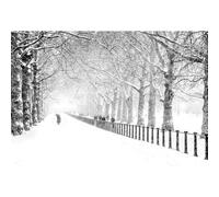 500(52x38cm)-piece adult puzzle, landscape of a shaded path in a snow scene, challenging game and intellectual toy for teenagers