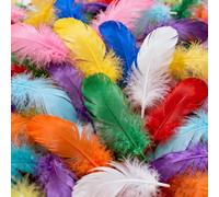 500 Pcs Craft Feathers for Crafting, 6-12cm Coloured Feathers, Natural Colorful Feather for DIY Arts and Crafts Dream Catchers Hat Flowers Party Wedding Decorations