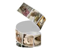 500 Pcs Cute Cat Stickers, Funny Cat Decorative Stickers, Kitten Stickers for Journals, Envelopes, Scrapbooks, Desk Decor, Stationery, and DIY Crafts