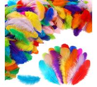 500 Pcs Feathers for Crafting, Craft Feathers Coloured Feathers for DIY Dream Catcher Carnival Decorations/Hat/Vase/Mask, Fluffy & Soft for Kindergarten DIY Crafts, Wedding Home Party Decorations