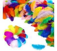500 Pcs Feathers for Crafting, Craft Feathers Coloured Feathers for DIY Dream Catcher Carnival Decorations/Hat/Vase/Mask, Fluffy & Soft for Kindergarten DIY Crafts, Wedding Home Party Decorations
