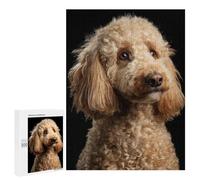 500 PCS Jigsaw Golden Poodle Dog Breed Jigsaws for Adults Puzzle But Fun And Humorous Challenging To Complete Unique Birthday And Xmas Gifts 500 PCS