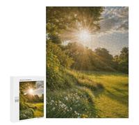 500 PCS Jigsaw Puzzles for Adults Jigsaw Vibrant Summer Meadow Adult Jigsaw Brain Teaser Game Hand Speed Race Challenging Game Gifts 500 PCS