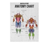 500 PCS Jigsaw Puzzles for Adults Musculature Anatomy Chart Puzzle for Adults Hands-on Game Improve Memory Unique Gifts for Birthday And Christmas 500 PCS