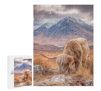 500 PCS Jigsaw Puzzles for Teenagers Scottish Highland Cow Grazing Jigsaw Puzzles for Adults Improve Memory Difficult And Challenge Brainteaser Family Games 500 PCS