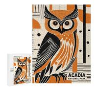 500 PCS Jigsaws for Adults Puzzle Acadia National Park Puzzles for Teenagerss Birthday Present Help The Brain Exercise Challenging Game Gifts 500 PCS